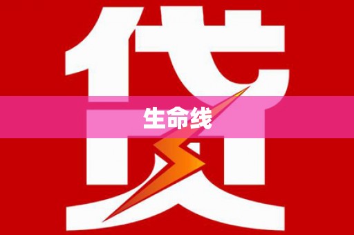 瑞金生命线