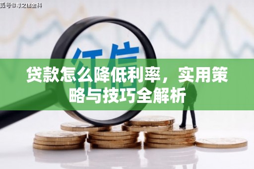 瑞金贷款怎么降低利率，实用策略与技巧全解析