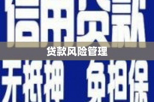 瑞金贷款风险管理