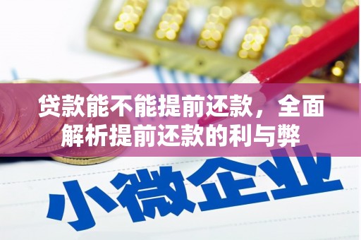瑞金贷款能不能提前还款，全面解析提前还款的利与弊