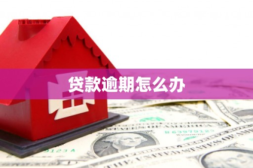 瑞金贷款逾期怎么办
