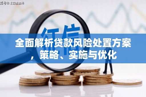 瑞金全面解析贷款风险处置方案，策略、实施与优化
