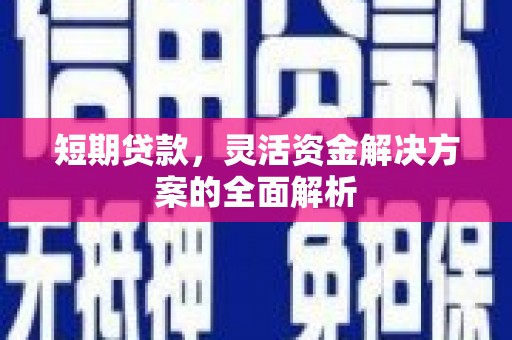 瑞金短期贷款，灵活资金解决方案的全面解析