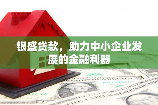 瑞金银盛贷款，助力中小企业发展的金融利器