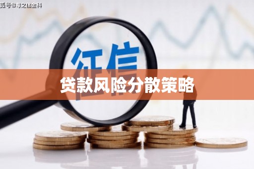 瑞金贷款风险分散策略