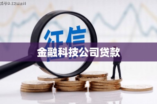 瑞金金融科技公司贷款