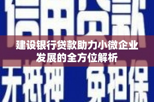瑞金建设银行贷款助力小微企业发展的全方位解析