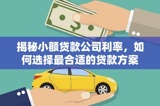 瑞金揭秘小额贷款公司利率，如何选择最合适的贷款方案