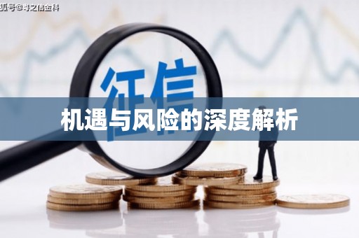 瑞金机遇与风险的深度解析