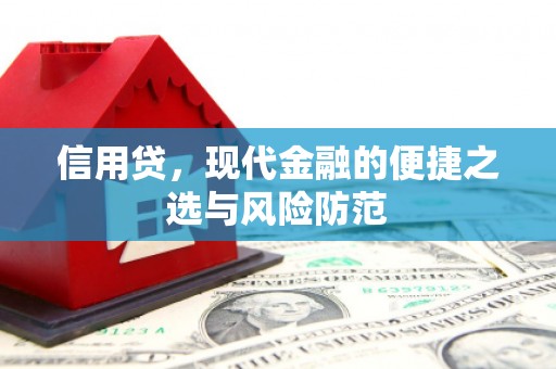 瑞金信用贷，现代金融的便捷之选与风险防范