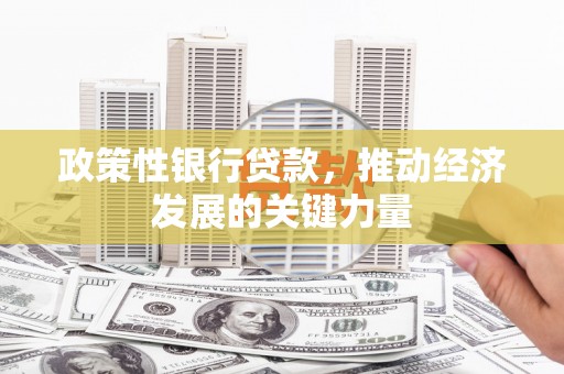 瑞金政策性银行贷款，推动经济发展的关键力量