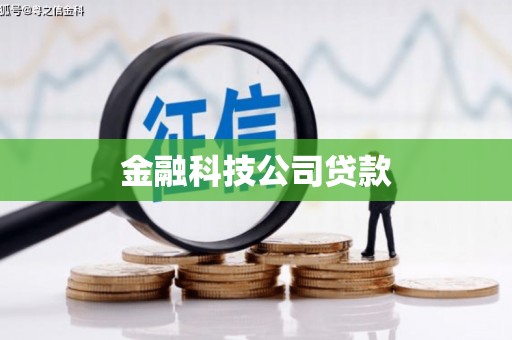 瑞金金融科技公司贷款