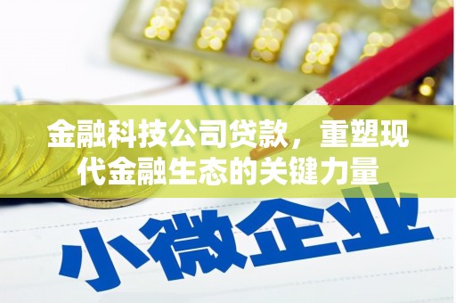瑞金金融科技公司贷款，重塑现代金融生态的关键力量