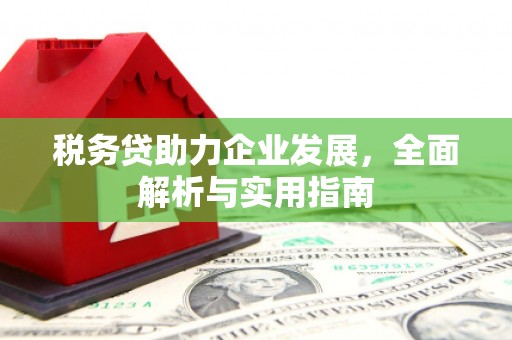 瑞金税务贷助力企业发展，全面解析与实用指南