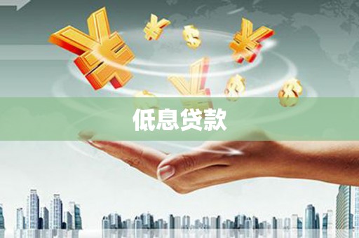 瑞金低息贷款