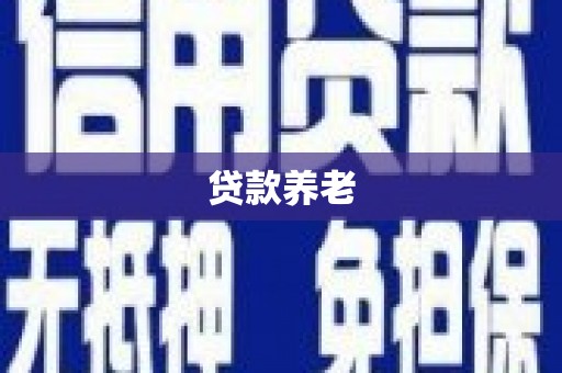 瑞金贷款养老