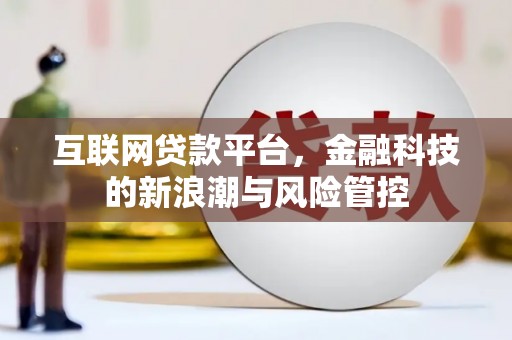 瑞金互联网贷款平台，金融科技的新浪潮与风险管控
