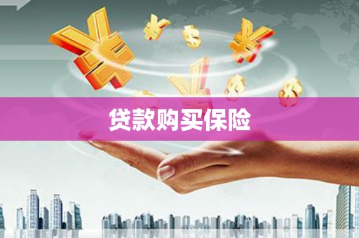 瑞金贷款购买保险