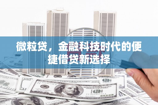 瑞金微粒贷，金融科技时代的便捷借贷新选择