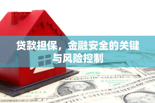 瑞金贷款担保，金融安全的关键与风险控制