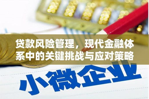 瑞金贷款风险管理，现代金融体系中的关键挑战与应对策略