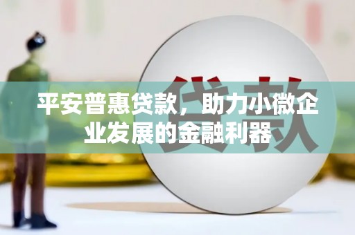 瑞金平安普惠贷款，助力小微企业发展的金融利器
