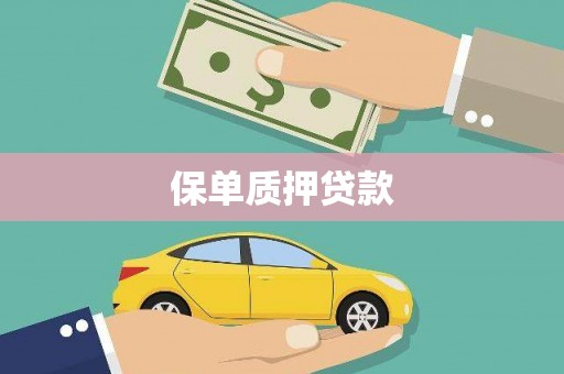 瑞金保单质押贷款