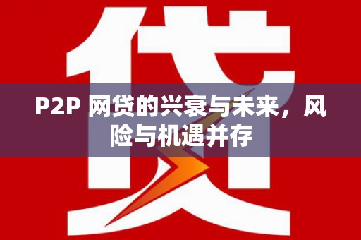 瑞金P2P 网贷的兴衰与未来，风险与机遇并存