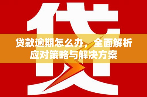 瑞金贷款逾期怎么办，全面解析应对策略与解决方案