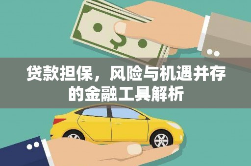 瑞金贷款担保，风险与机遇并存的金融工具解析