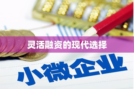 瑞金灵活融资的现代选择