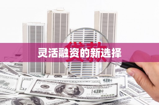 瑞金灵活融资的新选择