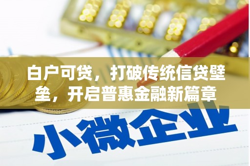 瑞金白户可贷，打破传统信贷壁垒，开启普惠金融新篇章
