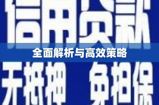 瑞金全面解析与高效策略