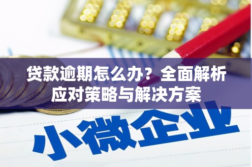 瑞金贷款逾期怎么办？全面解析应对策略与解决方案