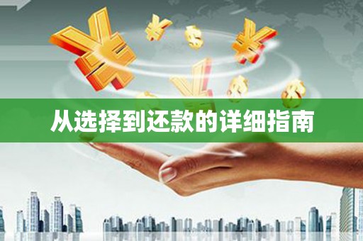 瑞金从选择到还款的详细指南