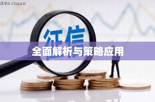 瑞金全面解析与策略应用