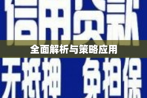 瑞金全面解析与策略应用