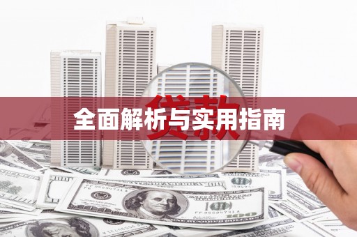 瑞金全面解析与实用指南