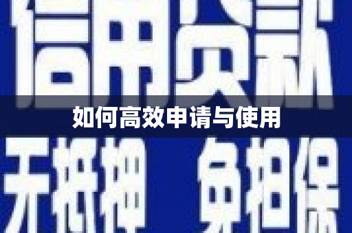 瑞金如何高效申请与使用