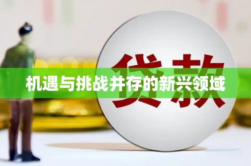 瑞金机遇与挑战并存的新兴领域