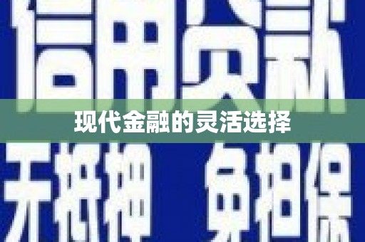瑞金现代金融的灵活选择