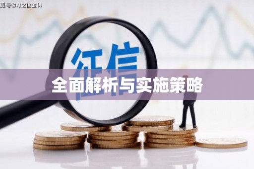 瑞金全面解析与实施策略