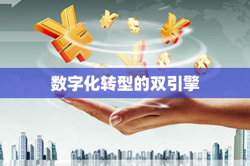 瑞金数字化转型的双引擎