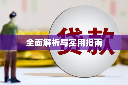 瑞金全面解析与实用指南