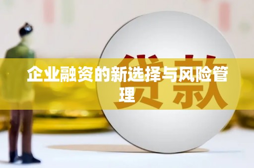 瑞金企业融资的新选择与风险管理