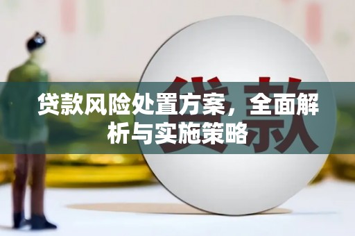 瑞金贷款风险处置方案，全面解析与实施策略