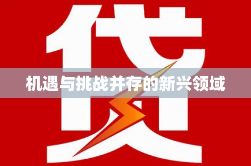 瑞金机遇与挑战并存的新兴领域