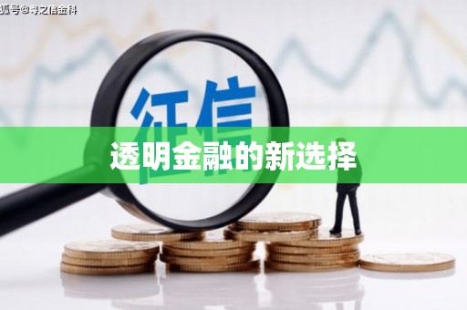 瑞金透明金融的新选择