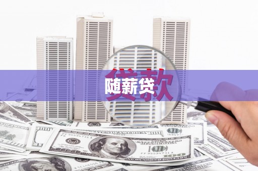 瑞金随薪贷